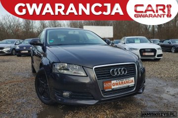 AUDI A3 1.6 tdi, 105 KM, Pełny Serwis, Piękny Kolor, Super Oszczędna